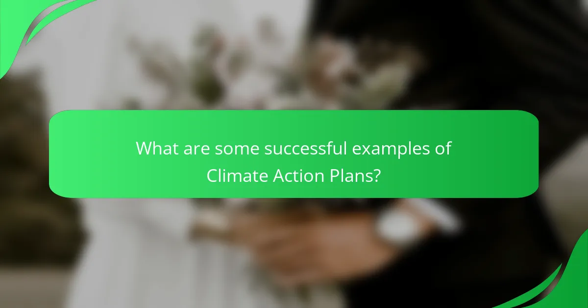 What are some successful examples of Climate Action Plans?