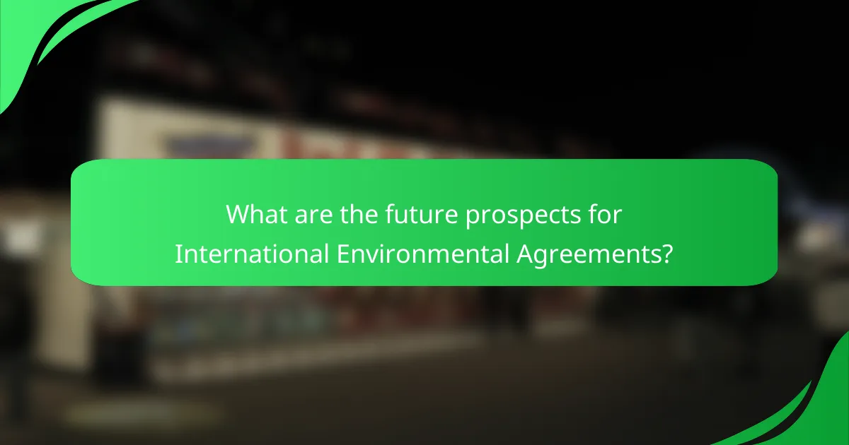 What are the future prospects for International Environmental Agreements?