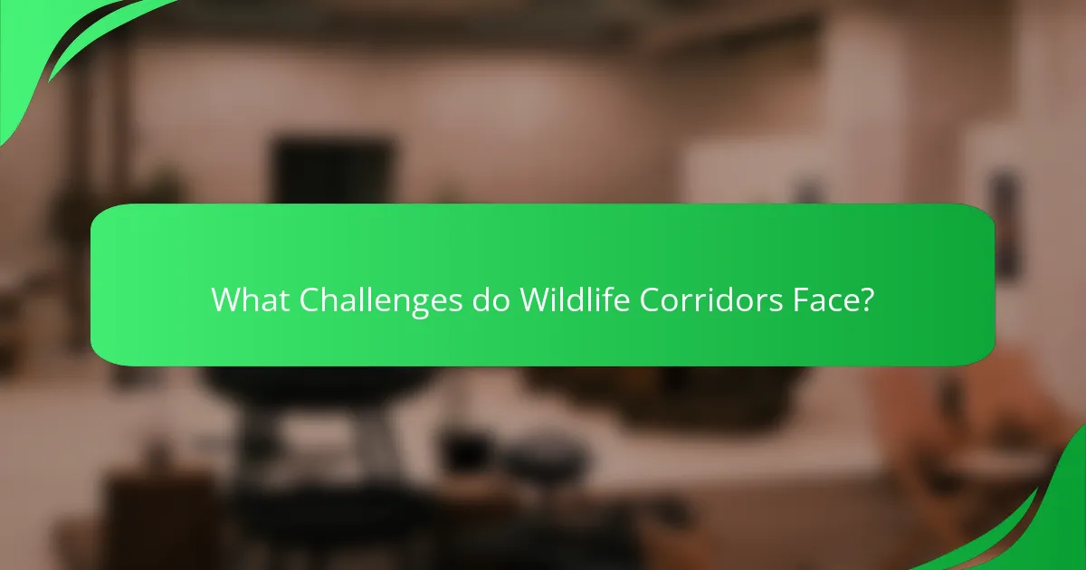 What Challenges do Wildlife Corridors Face?