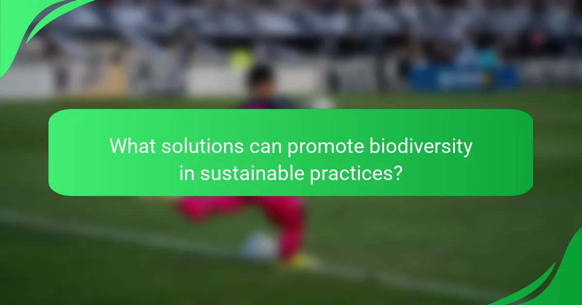 What solutions can promote biodiversity in sustainable practices?