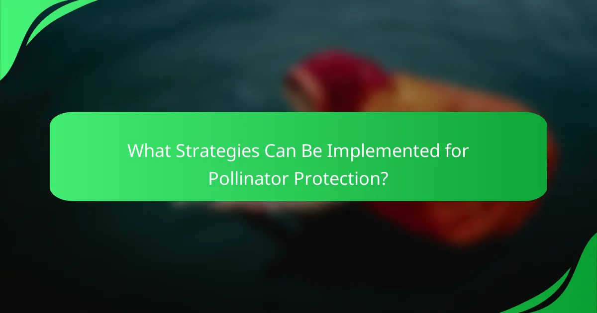 What Strategies Can Be Implemented for Pollinator Protection?